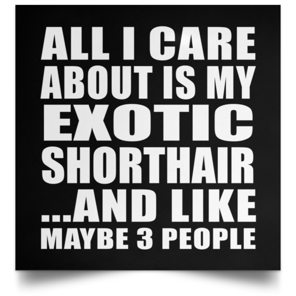 All I Care About Is My Exotic Shorthair - Poster Square