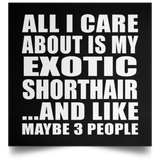 All I Care About Is My Exotic Shorthair - Poster Square