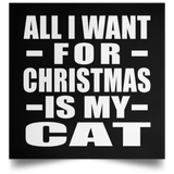 All I Want For Christmas Is My Cat - Poster Square