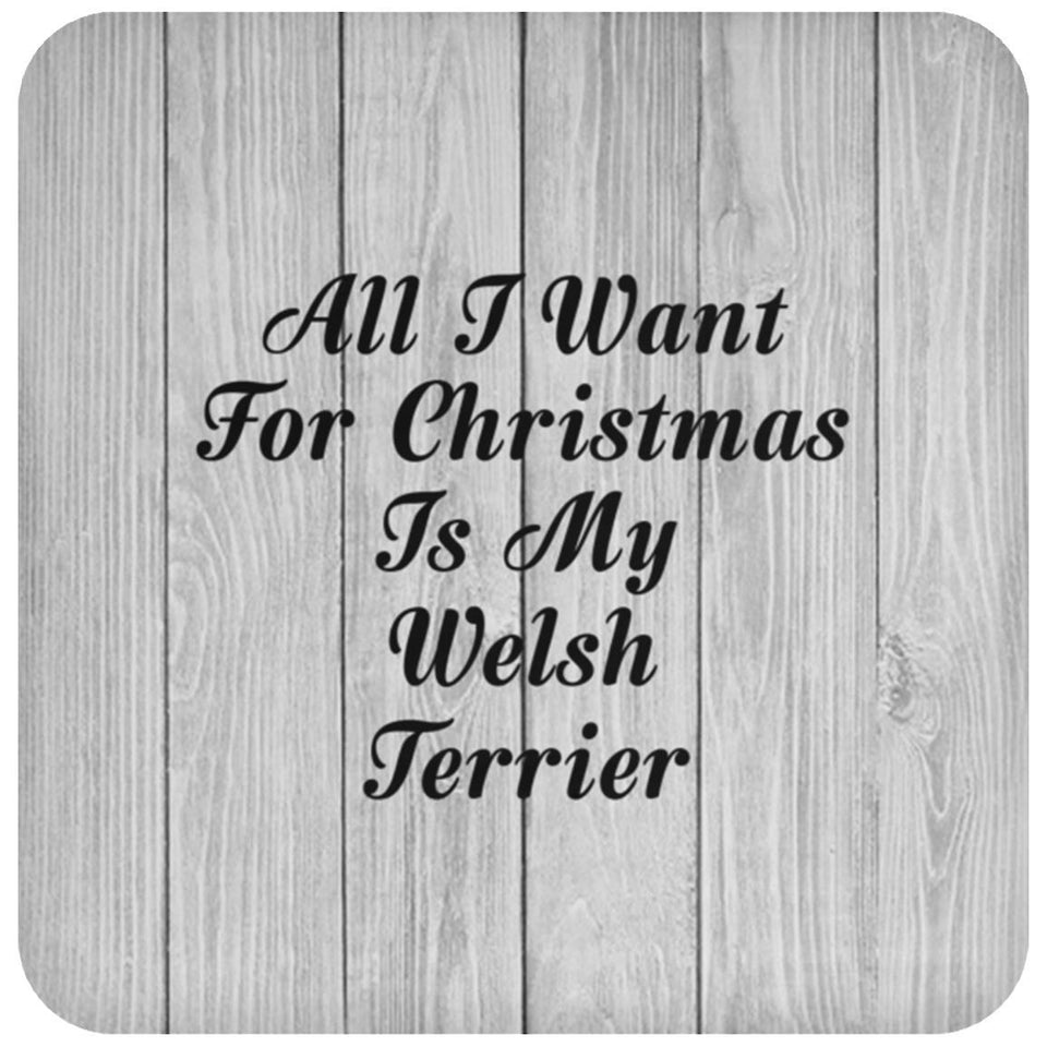 All I Want For Christmas Is My Welsh Terrier - Drink Coaster F