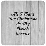 All I Want For Christmas Is My Welsh Terrier - Drink Coaster F