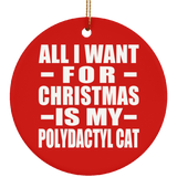 All I Want For Christmas Is My Polydactyl Cat - Circle Ornament