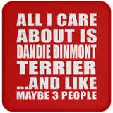 All I Care About Is Dandie Dinmont Terrier - Drink Coaster