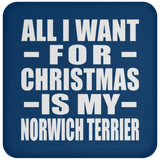 All I Want For Christmas Is My Norwich Terrier - Coaster