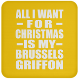 All I Want For Christmas Is My Brussels Griffon - Coaster