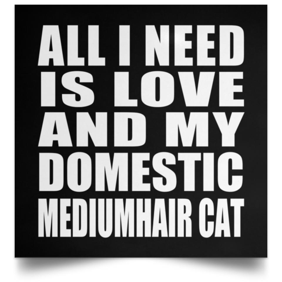 All I Need Is Love And My Domestic Mediumhair Cat - Poster Square