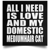 All I Need Is Love And My Domestic Mediumhair Cat - Poster Square