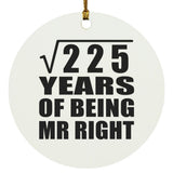 15th Anniversary Square Root of 225 Years of Being Mr Right - Circle Ornament