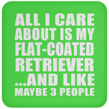All I Care About Is My Flat-Coated Retriever - Drink Coaster