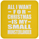 All I Want For Christmas Is My Small Munsterlander - Coaster
