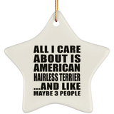 All I Care About Is American Hairless Terrier - Star Ornament