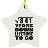 29th Anniversary Square Root of 841 Years Lifetime To Go - Star Ornament