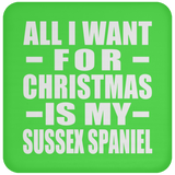 All I Want For Christmas Is My Sussex Spaniel - Coaster