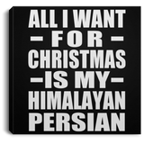 All I Want For Christmas Is My Himalayan Persian - Canvas Square