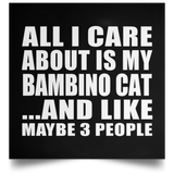 All I Care About Is My Bambino Cat - Poster Square