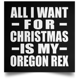 All I Want For Christmas Is My Oregon Rex - Poster Square