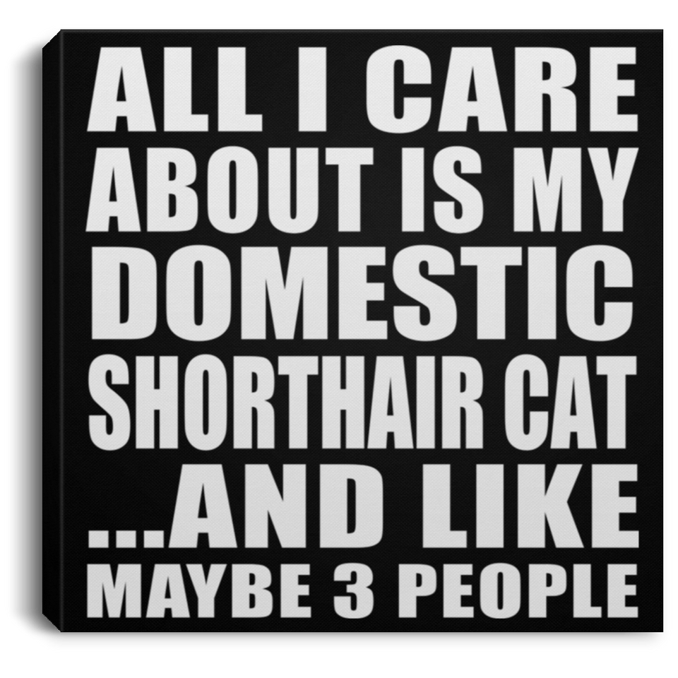 All I Care About Is My Domestic Shorthair Cat - Canvas Square