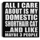 All I Care About Is My Domestic Shorthair Cat - Canvas Square