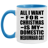 All I Want For Christmas Is My Domestic Mediumhair Cat - 11oz Accent Mug Blue