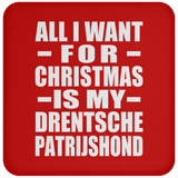 All I Want For Christmas Is My Drentsche Patrijshond - Coaster