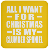 All I Want For Christmas Is My Clumber Spaniel - Coaster