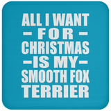 All I Want For Christmas Is My Smooth Fox Terrier - Coaster
