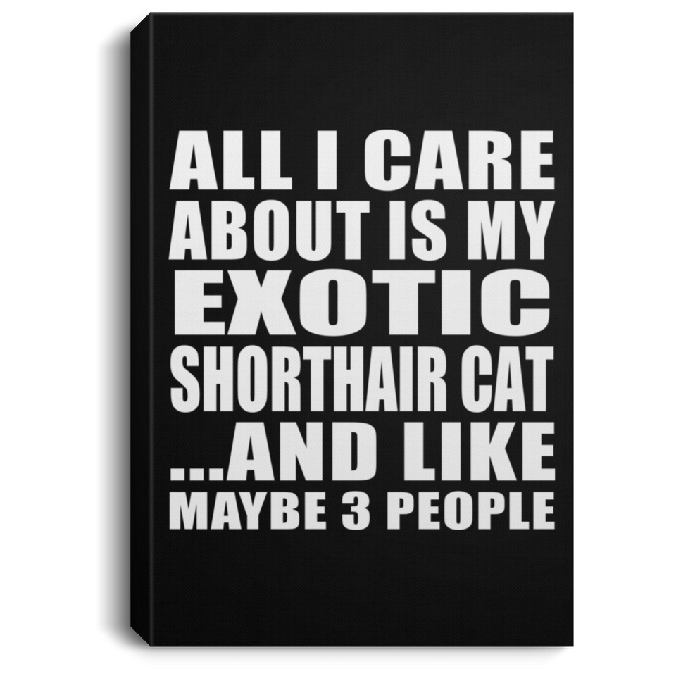 All I Care About Is My Exotic Shorthair Cat - Canvas Portrait
