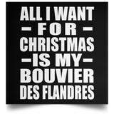 All I Want For Christmas Is My Bouvier Des Flandres - Poster Square