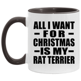 All I Want For Christmas Is My Rat Terrier - 11oz Accent Mug Black