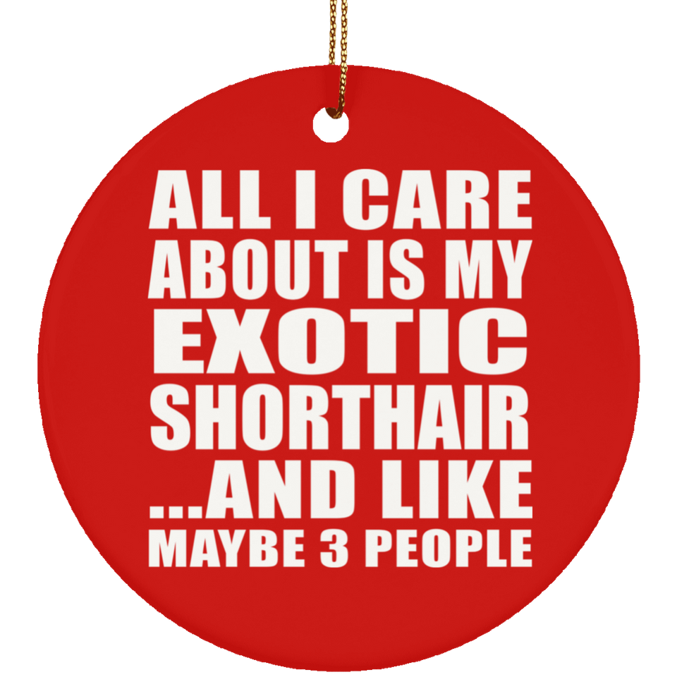 All I Care About Is My Exotic Shorthair - Circle Ornament