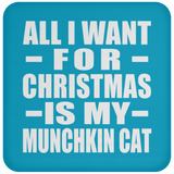 All I Want For Christmas Is My Munchkin Cat - Coaster