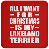 All I Want For Christmas Is My Lakeland Terrier - Coaster