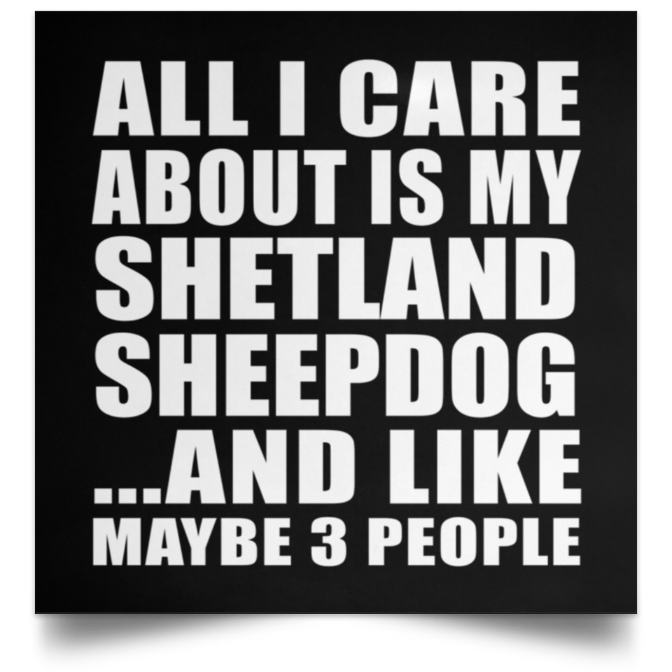 All I Care About Is My Shetland Sheepdog - Poster Square