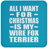 All I Want For Christmas Is My Wire Fox Terrier - Coaster