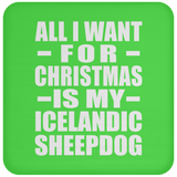 All I Want For Christmas Is My Icelandic Sheepdog - Coaster