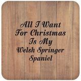 All I Want For Christmas Is My Welsh Springer Spaniel - Drink Coaster C