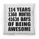 114th Birthday 114 Years 1368 Months 41638 Days Of Awesome - Throw Pillow