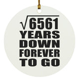 81st Anniversary Square Root of 6561 Years Down Forever To Go - Circle Ornament