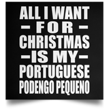 All I Want For Christmas Is My Portuguese Podengo Pequeno - Poster Square