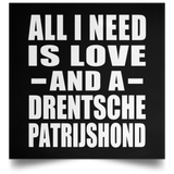 All I Need Is Love And A Drentsche Patrijshond - Poster Square