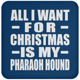 All I Want For Christmas Is My Pharaoh Hound - Coaster