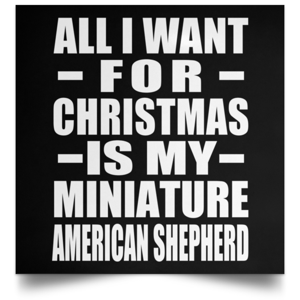 All I Want For Christmas Is My Miniature American Shepherd - Poster Square
