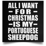 All I Want For Christmas Is My Portuguese Sheepdog - Poster Square