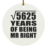 75th Anniversary Square Root of 5625 Years of Being Mr Right - Circle Ornament