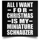 All I Want For Christmas Is My Miniature Schnauzer - Poster Square