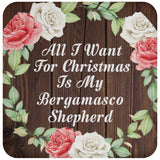 All I Want For Christmas Is My Bergamasco Shepherd - Drink Coaster A