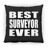 Best Surveyor Ever - Throw Pillow Black