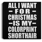 All I Want For Christmas Is My Colorprint Shorthair - Canvas Square