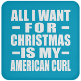 All I Want For Christmas Is My American Curl - Coaster