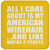 All I Care About Is My American Wirehair - Drink Coaster
